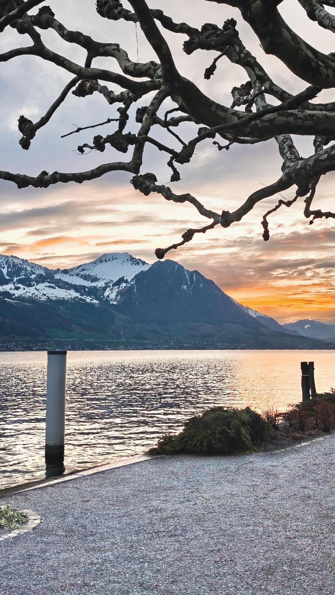 Seehotel Schwert Gersau Kültér fotó