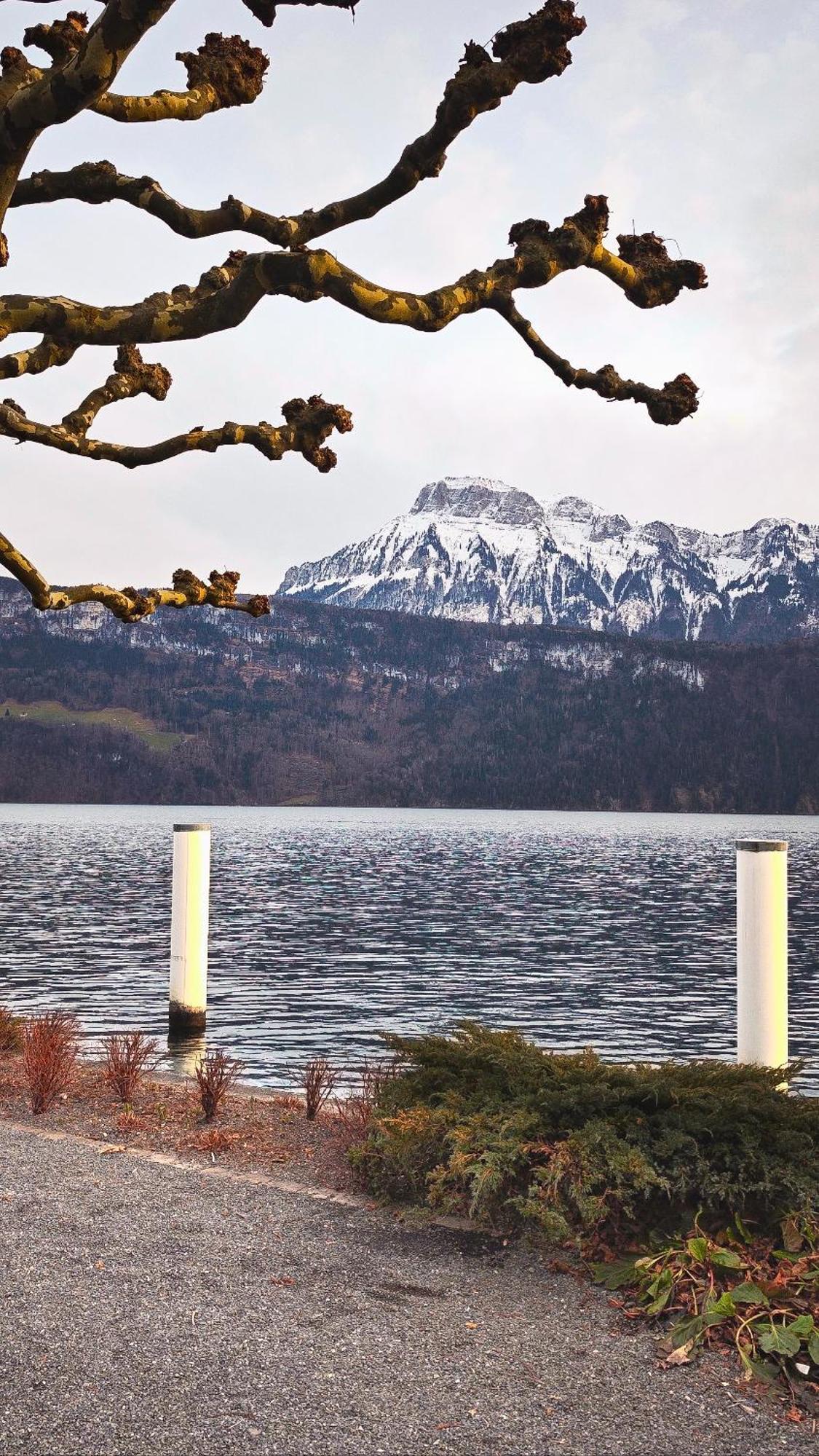 Seehotel Schwert Gersau Kültér fotó